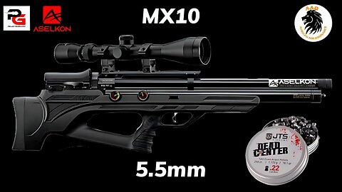 Aselkon MX10 in 5.5cal test at 55yards with JTS Dead Center 18 1gn pellets