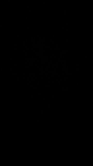 Briefing of the Press