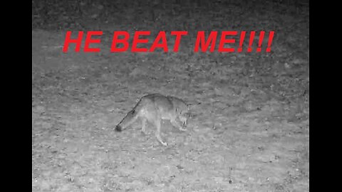 Why This Trapper Had a Coyote Get Away (Avoid This Mistake)