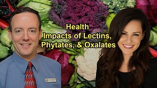 Discussion on the Health Impacts and Sensitivities Related to Lectins, Phytates, and Oxalates