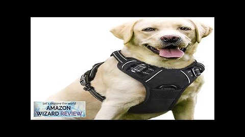 rabbitgoo Dog Harness, No-Pull Pet Harness with 2 Leash Clips, Adjustable Soft Review