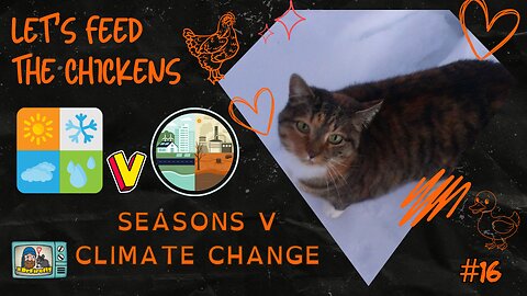 Seasons v Climate Change | Let's Feed the Chickens | E16