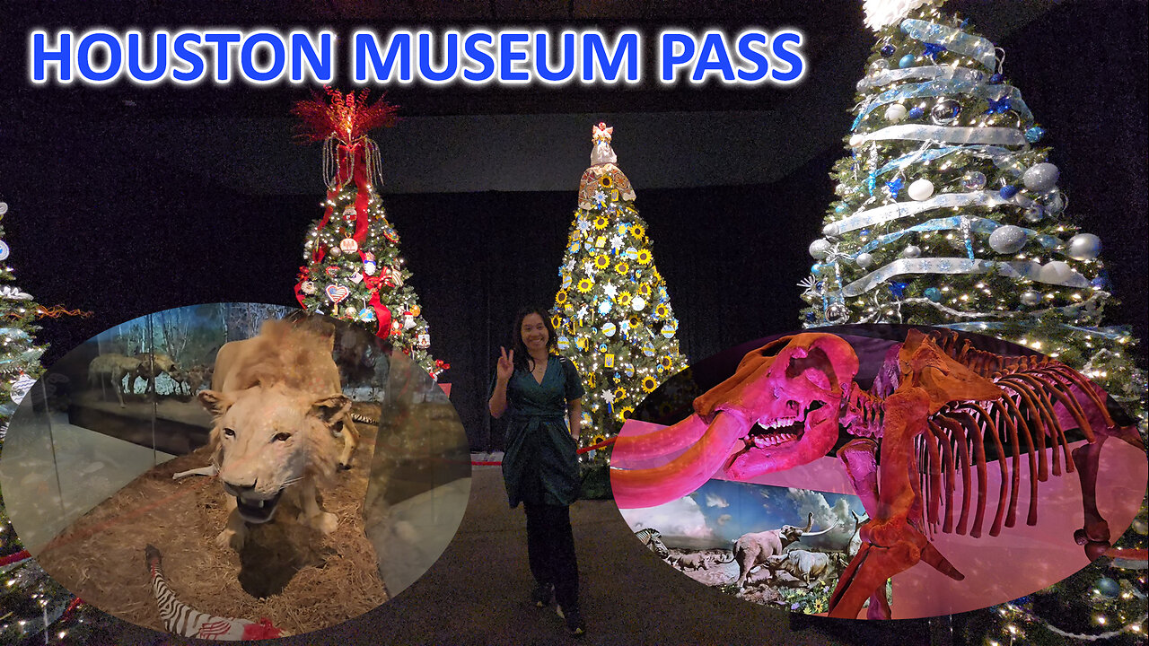 Visiting Museum of Natural Science, Health Museum & Holocaust Museum with Houston Museum Pass