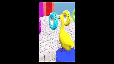 Kids Vide Kids Videos