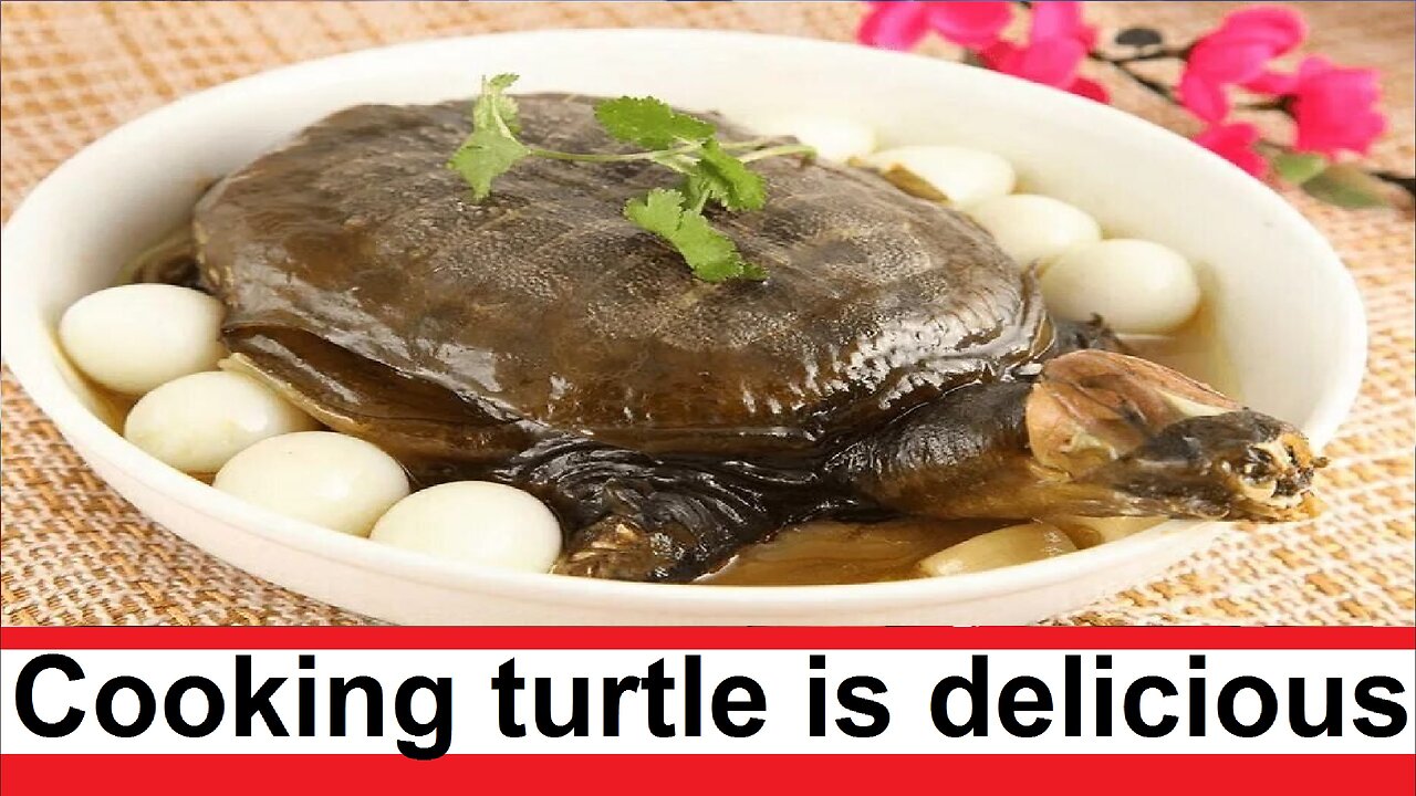 Cooking turtle is a very tasty dish