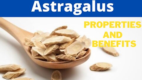 Astragalus: A Powerful Herb for Immunity and Vitality