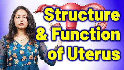 Structure and function of Uterus . | Treatment Cure Medicine | Homeopathy, Medicine & Surgery