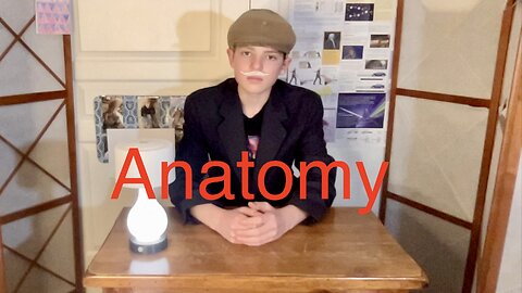 (Live) Trivia With Chat! Part #3 "Anatomy" (Ep.21)