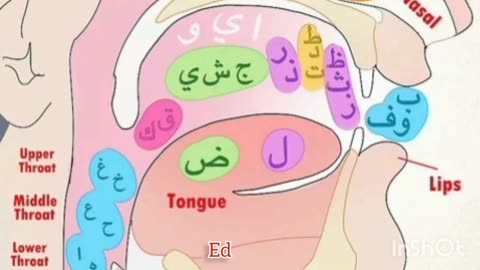 learn real arabic leasson 1, pronunciation