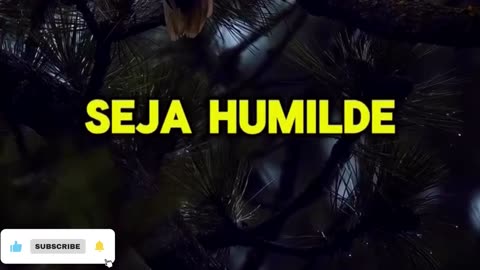 SEJA HUMILDES