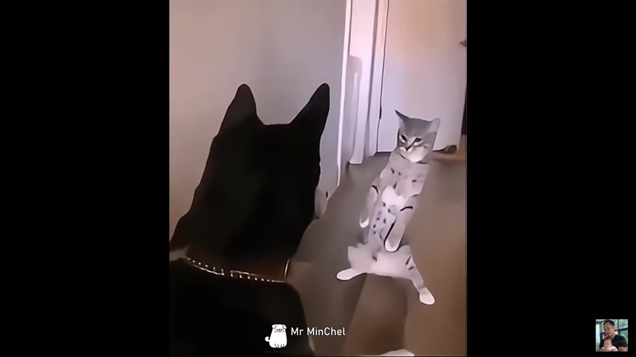 2025 Funniest Cats and Dogs Memes Try Not to Laugh Challenge