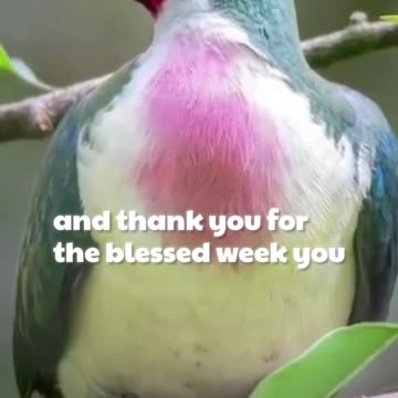 Powerful prayer Friday March 7th