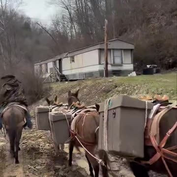 Mountain Mules are delivering supplies to stranded West Virginians❗