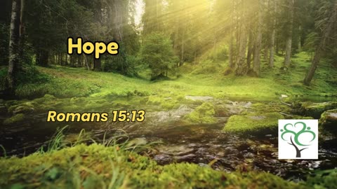 Feeling Lost? Find Hope and Clarity Through God’s Word Today -HOPE #DailyDevotion