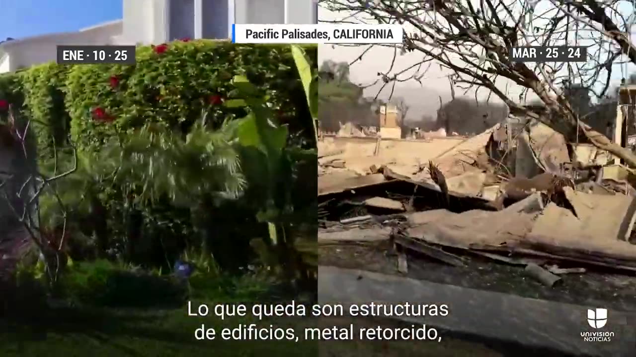 Lujosas y tranquilas: así eran las calles de Pacific Palisades antes de los incendios