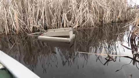 Trapping Inc Season 7 Episode 12 No Grip Floating Muskrat Traps!