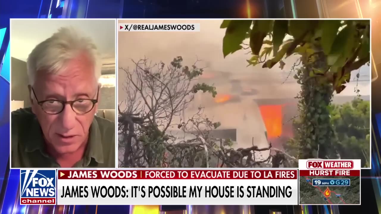 James Woods rips 'blithering idiot' Newsom after losing home in wildfire