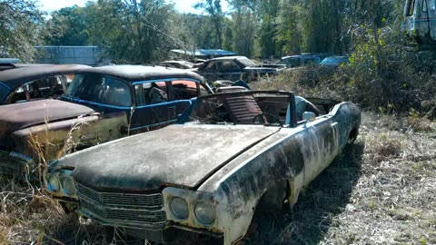 Junkyard Walk Chevelles, Novas, Impalas, Monte Carlos at Old Gold