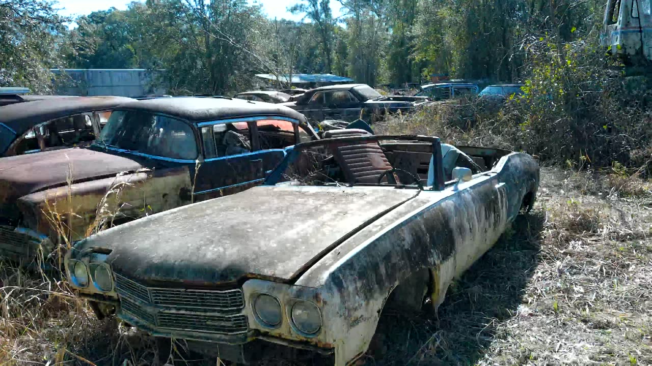 Junkyard Walk Chevelles, Novas, Impalas, Monte Carlos at Old Gold