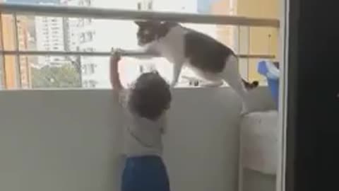 a CAT protects Child