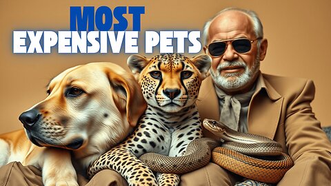 Billionaire Pets That Cost More Than Your House!