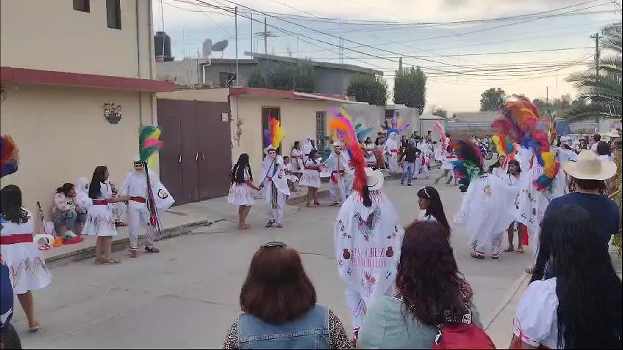 Fue todo el día Carnaval Tlaxcala 2025 Camada Pichones