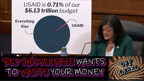 Foreign Affairs Committee Debates USAID Usage