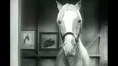 Mister Ed~Ed the Beneficiary