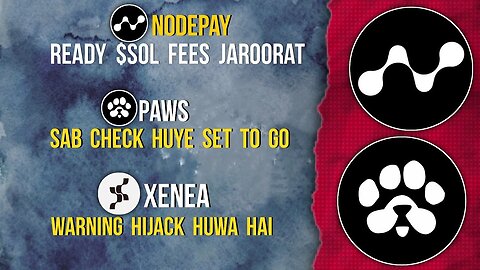 NODEPAY Needs SOL Fees | PAWS All Checks Completed | XENEA Scam Alert #nodepay #paws #xenea