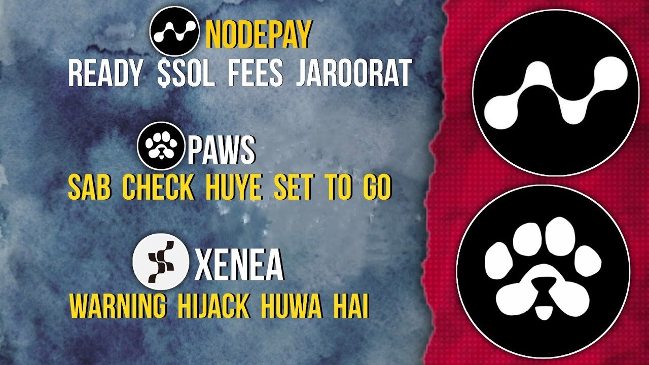 NODEPAY Needs SOL Fees | PAWS All Checks Completed | XENEA Scam Alert #nodepay #paws #xenea