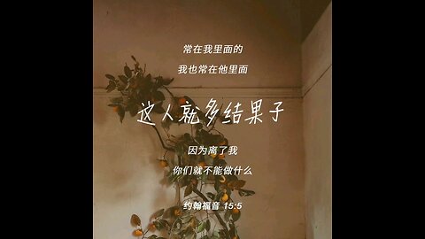 请复习这周经文 和祷告。 感谢主赐我们一切， 并且与我们同在。 阿门