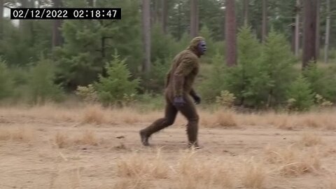 1 Hour of CLEAREST Bigfoot Encounters Ever Caught On Camera! (Part 2)