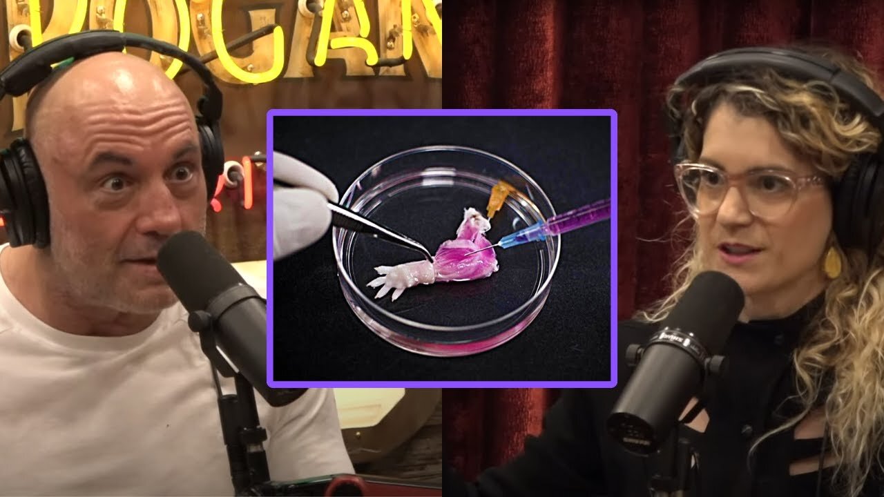 Joe Rogan & Sara Imari Walker: 'Chemists are Attempting to Create New Lifeforms'