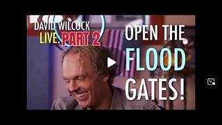 DAVID WILCOCK Open the Flood Gates_PART 2