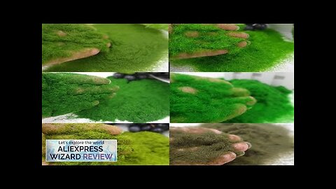 Garden Craft Building Model Material Artificial Moss Micro Landscape Decoration DIY Review