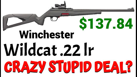 Winchester Wildcat 22 lr - CRAZY STUPID DEAL?