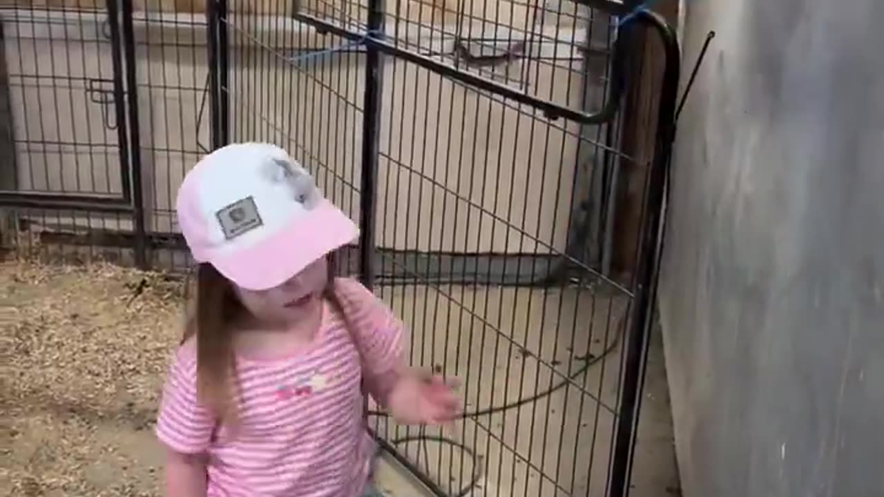 The dodge of the Emu gets me 😍