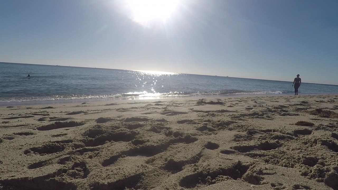 A MORNING SWIM WITH A CANE CORSO