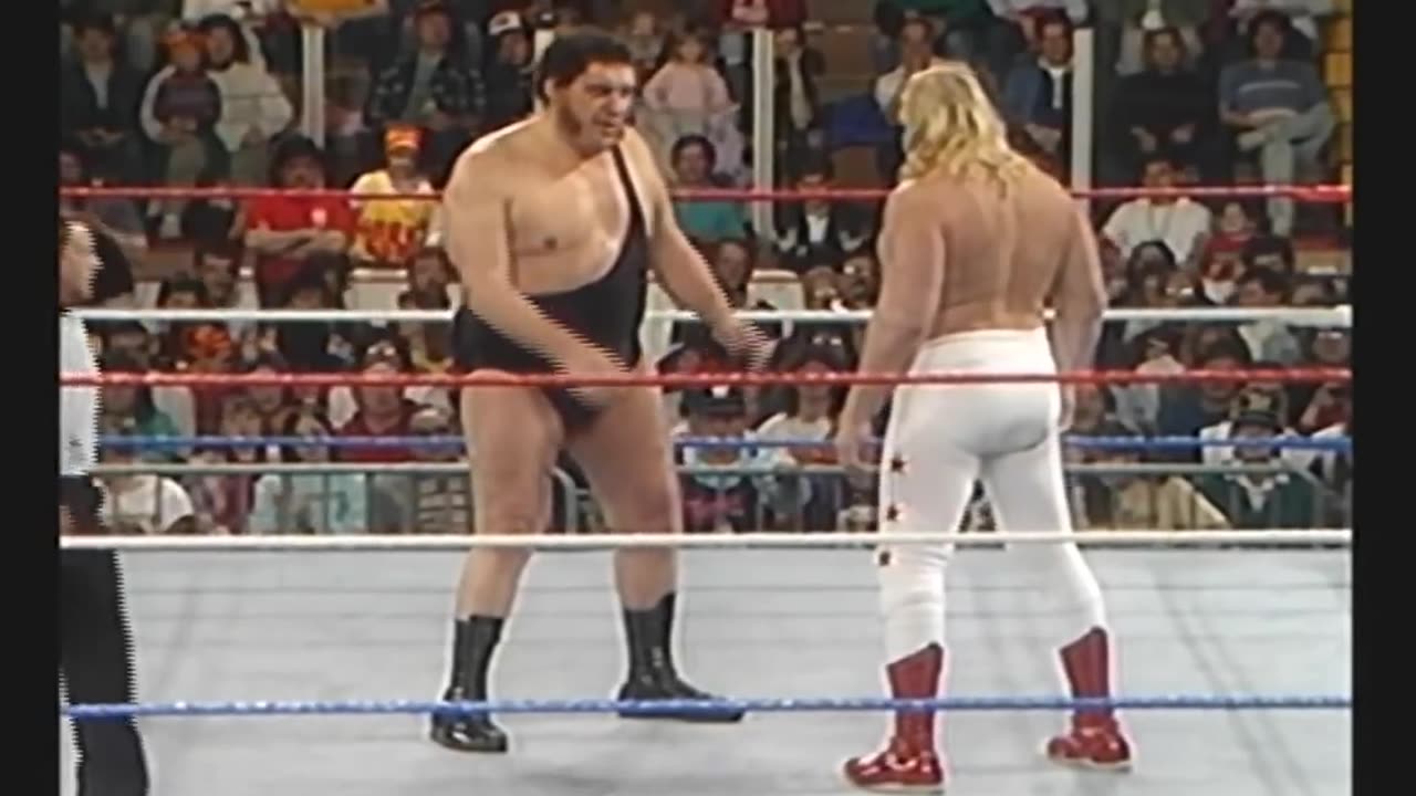 Andre the giant vs big John studd 1989