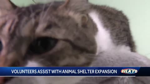 Volunteers help Animal Care Society, a no-kill shelter, prepare expanded facilities