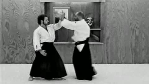 Aikido in Training. Vol 3 – Taijutsu