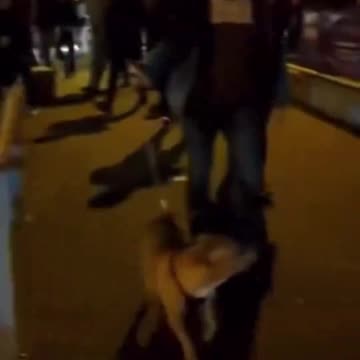 Dublin has had enough of the refugees attacking wome