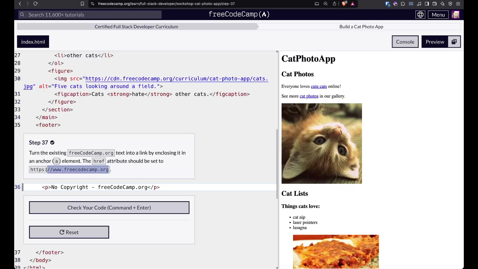 Free Code Camp Certified Full Stack Developer