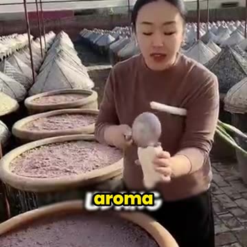 This “Rotten” Shrimp is Worth Thousands?!