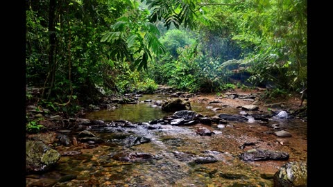 Relaxing Jungle River | 8 Hours of Flowing Water Sounds for Sleep, Relaxation and Meditation