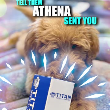Tell them #Athena sent you!