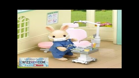 Sylvanian Families Country Dentist Set Review