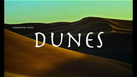 | DUNES | - walk till the dusk