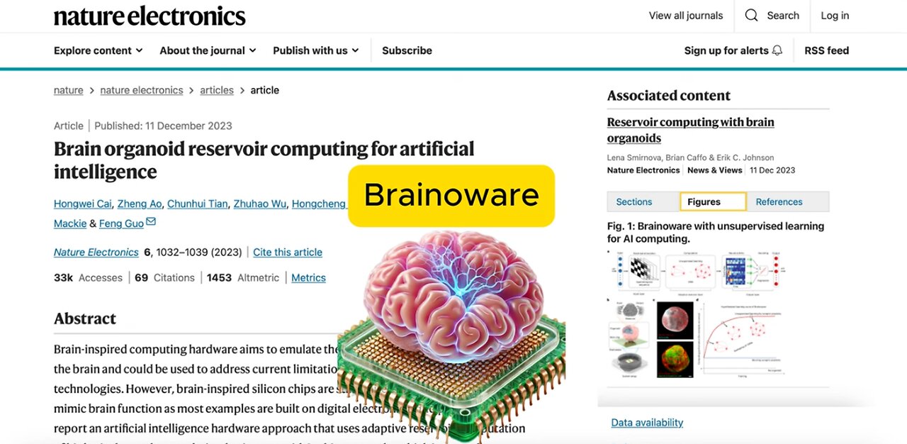 This Brain Organoid Shockingly Outperforms Our AI!