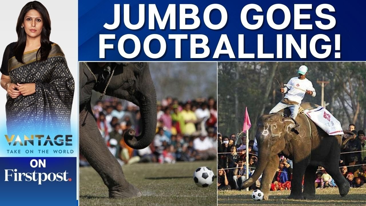 Elephants Play Football in Nepal's Annual Elephant Festival | Vantage with Palki Sharma